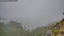 ./images/calvert/foggy-cove/20260806/foggy-cove20260806_062001M.jpg
