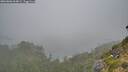 ./images/calvert/foggy-cove/20260806/foggy-cove20260806_064002M.jpg