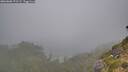 ./images/calvert/foggy-cove/20260806/foggy-cove20260806_071501M.jpg