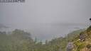 ./images/calvert/foggy-cove/20260806/foggy-cove20260806_073001M.jpg
