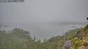 ./images/calvert/foggy-cove/20260806/foggy-cove20260806_073501M.jpg