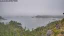 ./images/calvert/foggy-cove/20260806/foggy-cove20260806_075001M.jpg