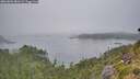 ./images/calvert/foggy-cove/20260806/foggy-cove20260806_081001M.jpg