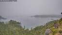 ./images/calvert/foggy-cove/20260806/foggy-cove20260806_084502M.jpg