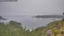 ./images/calvert/foggy-cove/20260806/foggy-cove20260806_093001M.jpg