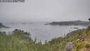 ./images/calvert/foggy-cove/20260806/foggy-cove20260806_094001M.jpg
