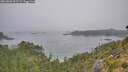 ./images/calvert/foggy-cove/20260806/foggy-cove20260806_095501M.jpg