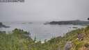 ./images/calvert/foggy-cove/20260806/foggy-cove20260806_102001M.jpg