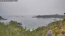 ./images/calvert/foggy-cove/20260806/foggy-cove20260806_102501M.jpg
