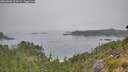 ./images/calvert/foggy-cove/20260806/foggy-cove20260806_103501M.jpg