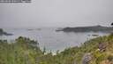 ./images/calvert/foggy-cove/20260806/foggy-cove20260806_110501M.jpg
