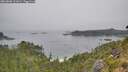 ./images/calvert/foggy-cove/20260806/foggy-cove20260806_111001M.jpg