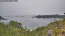 ./images/calvert/foggy-cove/20260806/foggy-cove20260806_113501M.jpg