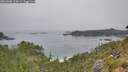 ./images/calvert/foggy-cove/20260806/foggy-cove20260806_114501M.jpg