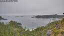 ./images/calvert/foggy-cove/20260806/foggy-cove20260806_115001M.jpg
