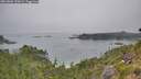./images/calvert/foggy-cove/20260806/foggy-cove20260806_120001M.jpg