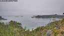 ./images/calvert/foggy-cove/20260806/foggy-cove20260806_120501M.jpg