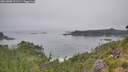 ./images/calvert/foggy-cove/20260806/foggy-cove20260806_121501M.jpg
