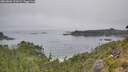 ./images/calvert/foggy-cove/20260806/foggy-cove20260806_122001M.jpg