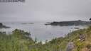 ./images/calvert/foggy-cove/20260806/foggy-cove20260806_123001M.jpg