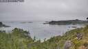 ./images/calvert/foggy-cove/20260806/foggy-cove20260806_123501M.jpg