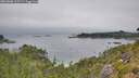 ./images/calvert/foggy-cove/20260806/foggy-cove20260806_125501M.jpg