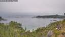 ./images/calvert/foggy-cove/20260806/foggy-cove20260806_131502M.jpg