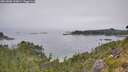 ./images/calvert/foggy-cove/20260806/foggy-cove20260806_133001M.jpg
