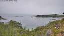 ./images/calvert/foggy-cove/20260806/foggy-cove20260806_134001M.jpg