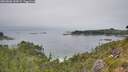./images/calvert/foggy-cove/20260806/foggy-cove20260806_134501M.jpg