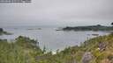./images/calvert/foggy-cove/20260806/foggy-cove20260806_135501M.jpg