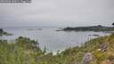 ./images/calvert/foggy-cove/20260806/foggy-cove20260806_140001M.jpg