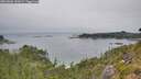 ./images/calvert/foggy-cove/20260806/foggy-cove20260806_141002M.jpg