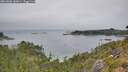 ./images/calvert/foggy-cove/20260806/foggy-cove20260806_142001M.jpg