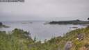 ./images/calvert/foggy-cove/20260806/foggy-cove20260806_142501M.jpg