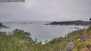 ./images/calvert/foggy-cove/20260806/foggy-cove20260806_143501M.jpg