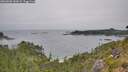 ./images/calvert/foggy-cove/20260806/foggy-cove20260806_144501M.jpg