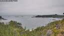 ./images/calvert/foggy-cove/20260806/foggy-cove20260806_145001M.jpg