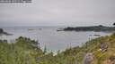./images/calvert/foggy-cove/20260806/foggy-cove20260806_145501M.jpg
