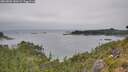 ./images/calvert/foggy-cove/20260806/foggy-cove20260806_150501M.jpg