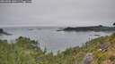 ./images/calvert/foggy-cove/20260806/foggy-cove20260806_160501M.jpg