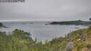 ./images/calvert/foggy-cove/20260806/foggy-cove20260806_162001M.jpg