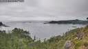 ./images/calvert/foggy-cove/20260806/foggy-cove20260806_171501M.jpg