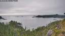 ./images/calvert/foggy-cove/20260806/foggy-cove20260806_182501M.jpg