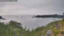 ./images/calvert/foggy-cove/20260806/foggy-cove20260806_192501M.jpg