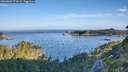 ./images/calvert/foggy-cove/20260807/foggy-cove20260807_073001M.jpg