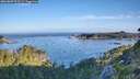./images/calvert/foggy-cove/20260807/foggy-cove20260807_073501M.jpg