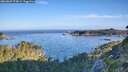 ./images/calvert/foggy-cove/20260807/foggy-cove20260807_074001M.jpg