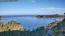 ./images/calvert/foggy-cove/20260807/foggy-cove20260807_074501M.jpg