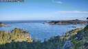 ./images/calvert/foggy-cove/20260807/foggy-cove20260807_075002M.jpg